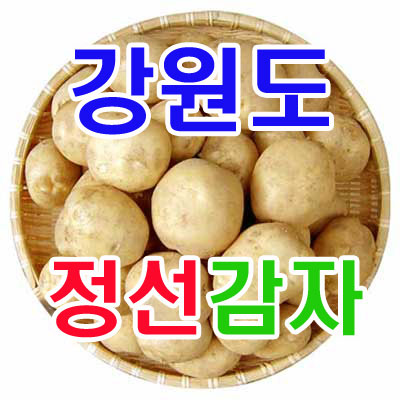 우리네농산,강원도 햇감자 10Kg(왕특)무료배송