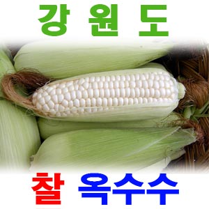 우리네농산,강원도 햇찰옥수수50EA(무료배송)