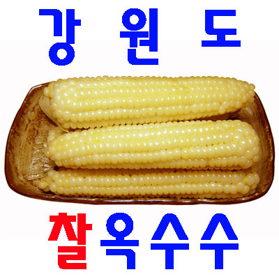 우리네농산,정선 냉동 찰옥수수 상품 20개